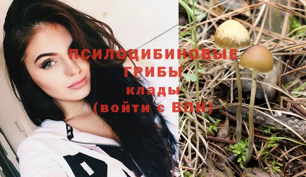 ГАЛЛЮЦИНОГЕННЫЕ ГРИБЫ Алзамай