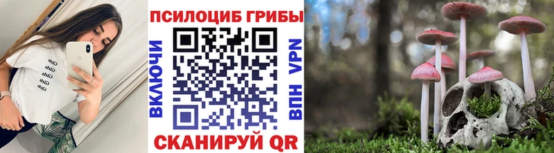 Галлюциногенные грибы мицелий Павловский Посад